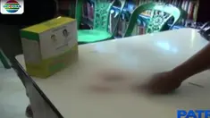 Semula diduga janin merupakan bangkai anak kucing karena kondisnya terbungkus tisu.