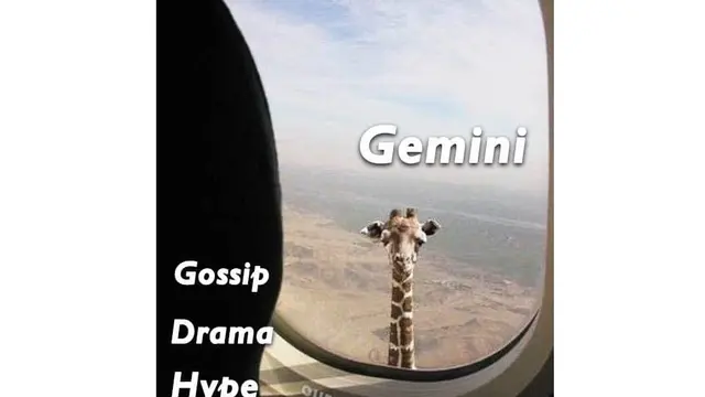 meme gemini