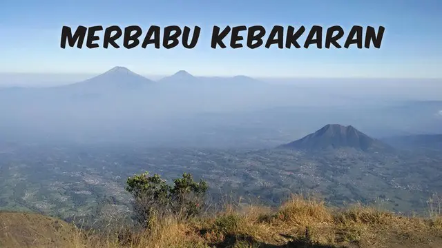 VIDEO TOP 3: Merbabu Kebakaran Lagi Pagi Ini