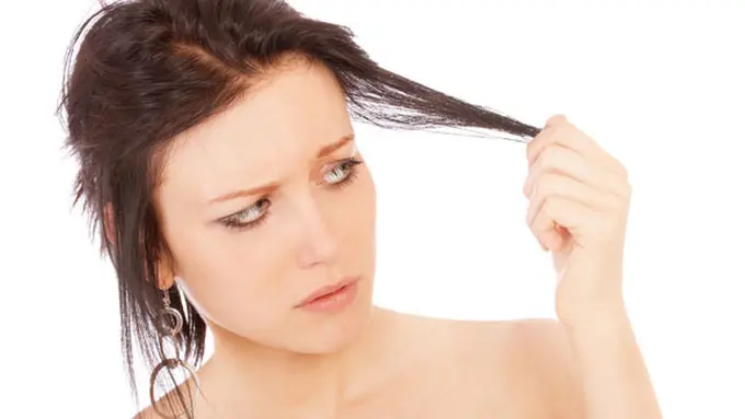 (c) shutterstock.com