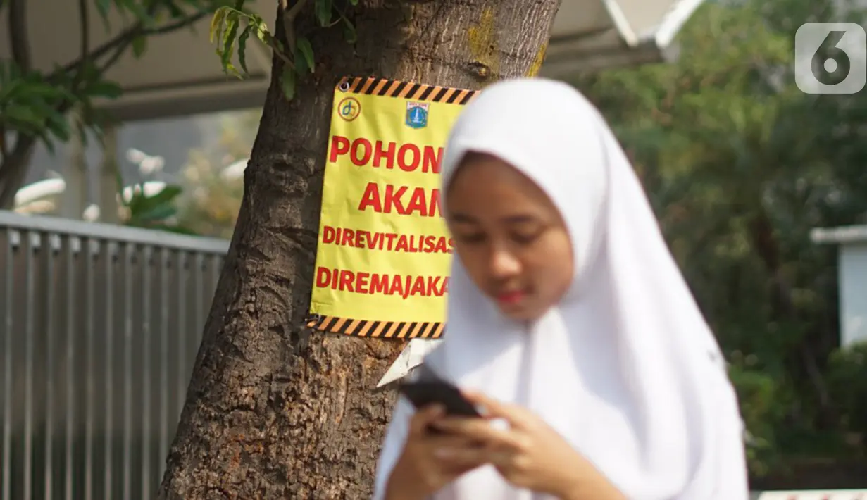 Poster revitalisasi menempel pada pohon yang berada di jalur pedestrian Jalan Kramat Raya, Jakarta, Jumat (8/11/2019). Sepanjang pengerjaan jalur pedestrian, pohon yang berada di jalur tersebut rencananya juga akan direvitalisasi dan diremajakan. (Liputan6.com/Immanuel Antonius)