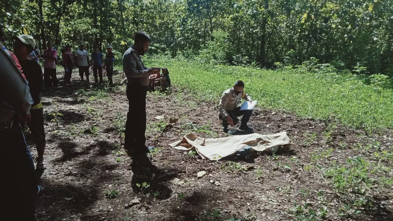 Kepanasan, Mbah Hayati Meninggal Di Ladang
