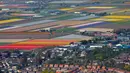 Pemandangan ladang bunga tulip De Keukenhof di Lisse, Belanda, Jumat (20/4). Terdapat tujuh juta tulip di ladang De Keukenhof. (AP Photo / Peter Dejong)
