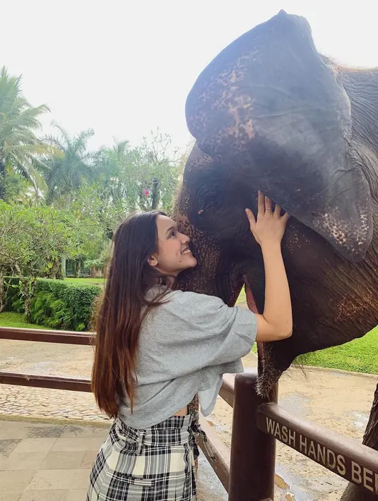 Kecintaannya pada binatang membuat Yasmin Napper selalu tak ragu memegang binatang. Gajah menjadi hewan yang sangat Yasmin sukai. Ia memegang gajah dengan penuh perasaan yang membuat gajah juga merasa bahagia. (Liputan6.com/IG/@yasminnapper)