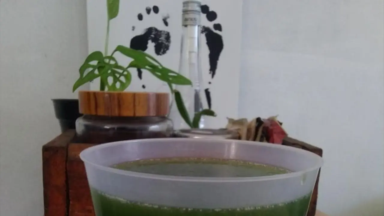 Cincau hijau bahan dasar air kacang. (Liputan6.com/ Rahma)