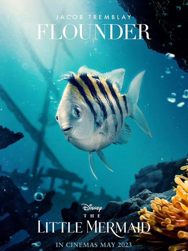 Flounder dalam film "The Little Mermaid". (Foto: Disney Indonesia)