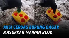 Satu per satu ia memasukkan blok ke masing-masing lubang sesuai bentuknya.