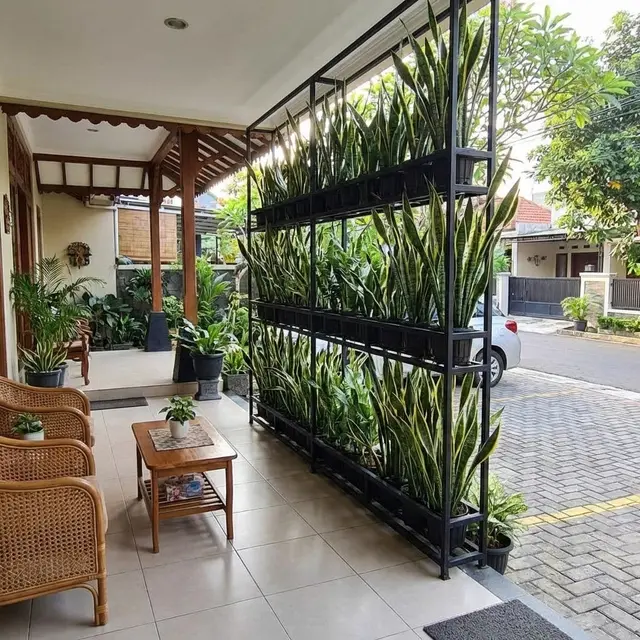 Desain Teras Rumah Kecil Tapi Asri dengan Kebun Vertikal