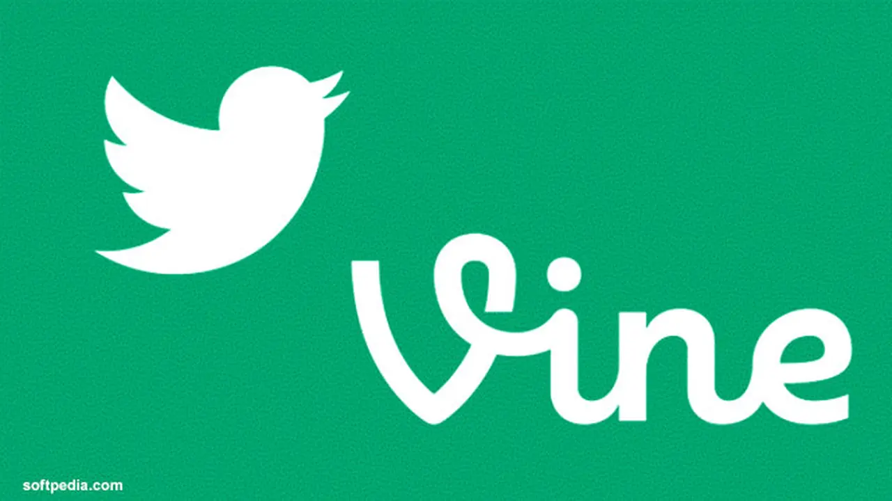 vine-130821b.jpg
