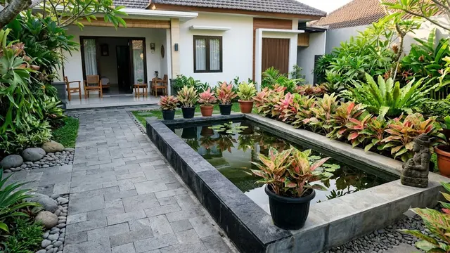 6 Inspirasi Kebun Aglaonema di Sekitar Kolam Minimalis, Estetik dan Menenangkan