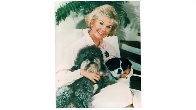 Doris Day (Sumber: Facebook Doris Day Animal Foundation (DDAF))