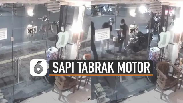 VIDEO: Viral Seekor Sapi Tabrak Pengendara Motor di Jalan