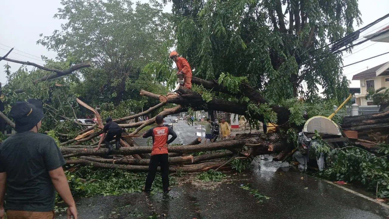 Pohon tumbang menutup jalan di Kecamatan Way Halim, Bandar Lampung. Foto : (Istimewa).