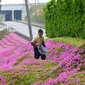 Kuroki Shintomi, pria asal Jepang menanam ribuan bungan untuk menghibur istrinya yang tengah depresi. Foto : boredpanda