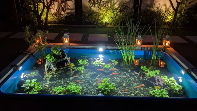 Model Kolam Ikan Portable dari Kontainer Plastik/ Ilustrasi AI