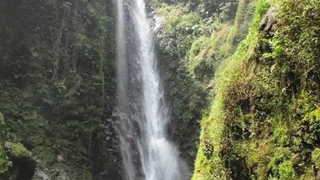 20 Tempat Wisata di Tegal yang Sayang Dilewatkan, Keindahan Alamnya Tiada Tara