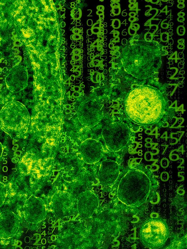 Ilustrasi bakteri, kingdom monera