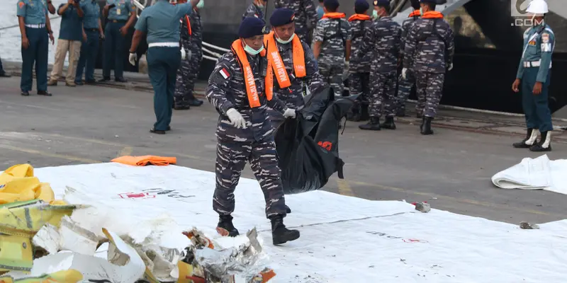 Tim SAR Kembali Temukan Potongan Tubuh Korban dan Puing Lion Air JT 610