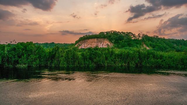 Hutan Amazon