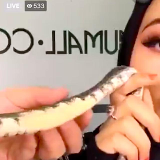 Beauty vlogger
