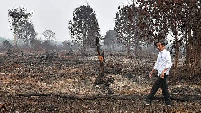 anpa Masker, Jokowi Tinjau Lokasi Kebakaran Hutan di Pekanbaru