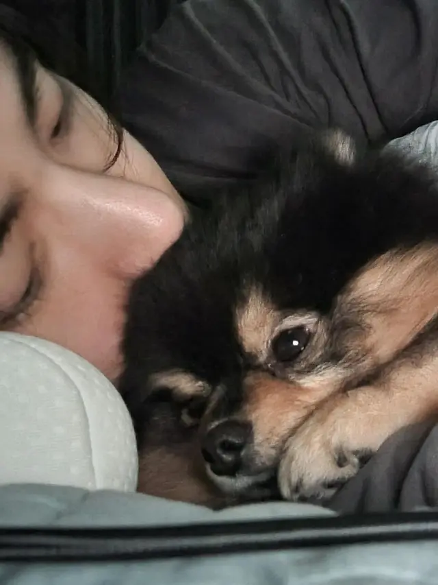 6 Potret Kenangan V BTS dan Yeontan Anjingnya yang Meninggal, ARMY Ikut Sedih
