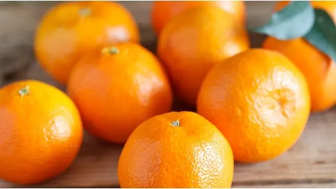 Copyright by Shutterstock.com