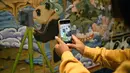 Pengunjung mengabadikan lukisan thangka bertema panda di Perpustakaan Provinsi Sichuan, Chengdu, Provinsi Sichuan, China, 11 Oktober 2020. Thangka adalah semacam lukisan di atas sutra bersulam dan biasanya menggambarkan makhluk suci Buddhis, peristiwa, atau mandala. (Xinhua/Wang Xi)