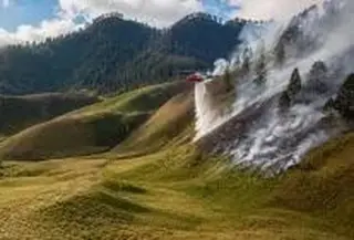 Kawasan Gunung Bromo yang terdampak kebakaran (Istimewa)