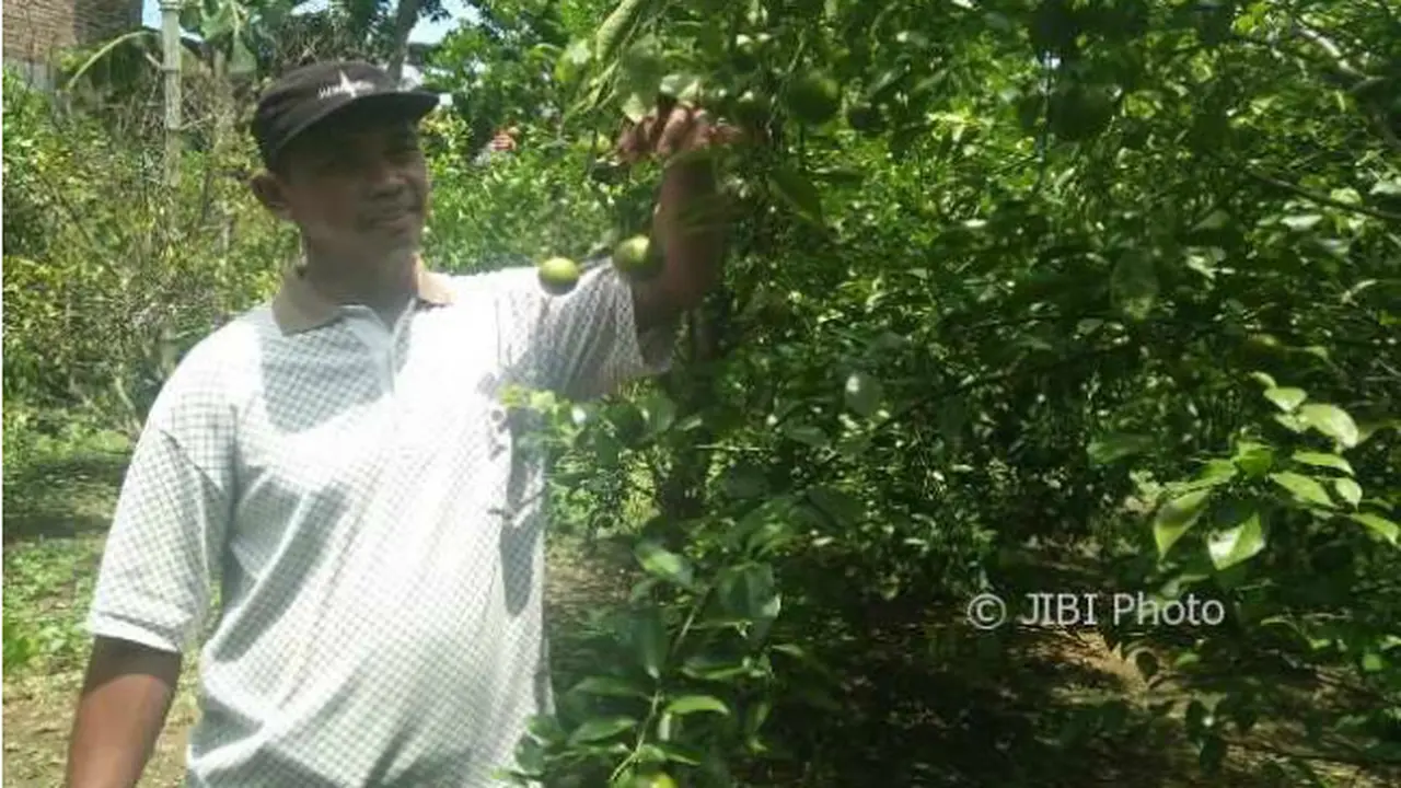 Kebun Warga Pakunden