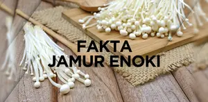 Fakta Jamur Enoki yang Dikaitkan Penyebab Wabah Listeria