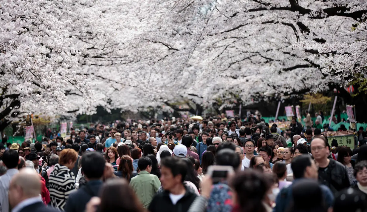 Suasana keramaian pengunjung di kawasan Asakusa Tokyo, Kamis (6/4). Bunga Sakura mekar hanya sekitar dua minggu dalam setahun menyebabkan pengunjung tak ingin menyiakan momen tersebut. (AFP Photo/ Behrouz MEHRI)