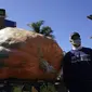 Travis Gienger, befoto di samping labu seberat 1,066 kilogram, dalam kontes Safeway World Championship Pumpkin Weigh-Off di Half Moon Bay, California AS. (Photo credit:AP Photo/Jeff Chiu)