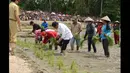 Penanaman padi oleh Presiden Jokowi sebagai tanda dimulainya gerakan serentak penanaman padi untuk swasembada pangan, Kalimantan Barat, Selasa (20/1/2015). (Rumgapres/Agus Suparto)