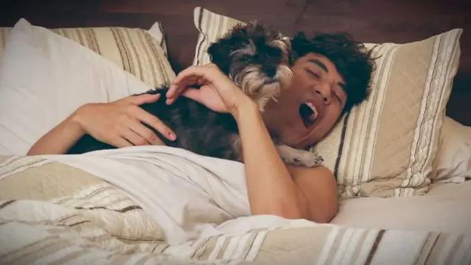 Tingkah Ajaib Para Pemilik Anjing Bikin Ngakak di Pagi Hari