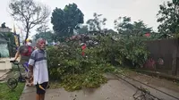 Hujan deras disertai puting beliung melanda Kecamatan Sawangan dan Kecamatan Bojongsari, Kota Depok. Akibatnya sejumlah pohon tumbang dan tiang listrik roboh menutup akses jalan.