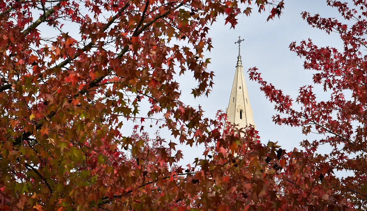 Gambar 18 Oktober 2018 menunjukkan gereja Sainte-Bernadette saat daun-daun yang berguguran jatuh di Orvault, Prancis. Musim gugur ditandai dengan perubahan warna daun serta bergugurannya daun-daun dari pohonnya. (LOIC VENANCE/AFP)