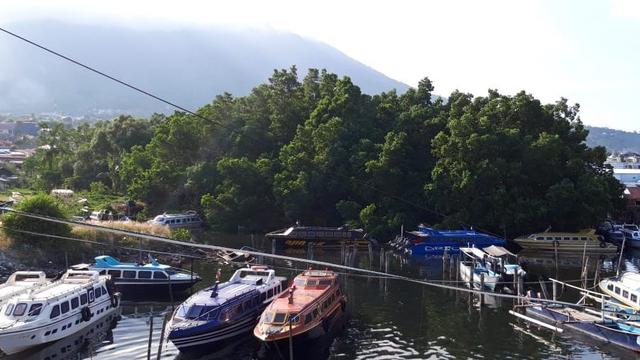 Unduh 80+ Gambar Ekosistem Pantai Batu Keren Gratis