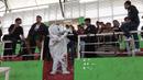 Maskot Piala Dunia 2022, La'eeb, juga menyasar para anak muda yang sedang memberi dukungan kepada rekannya saat bertanding sepak bola di GOR Sidoarjo, Jawa Timur. (Procomm Surya Citra Media)