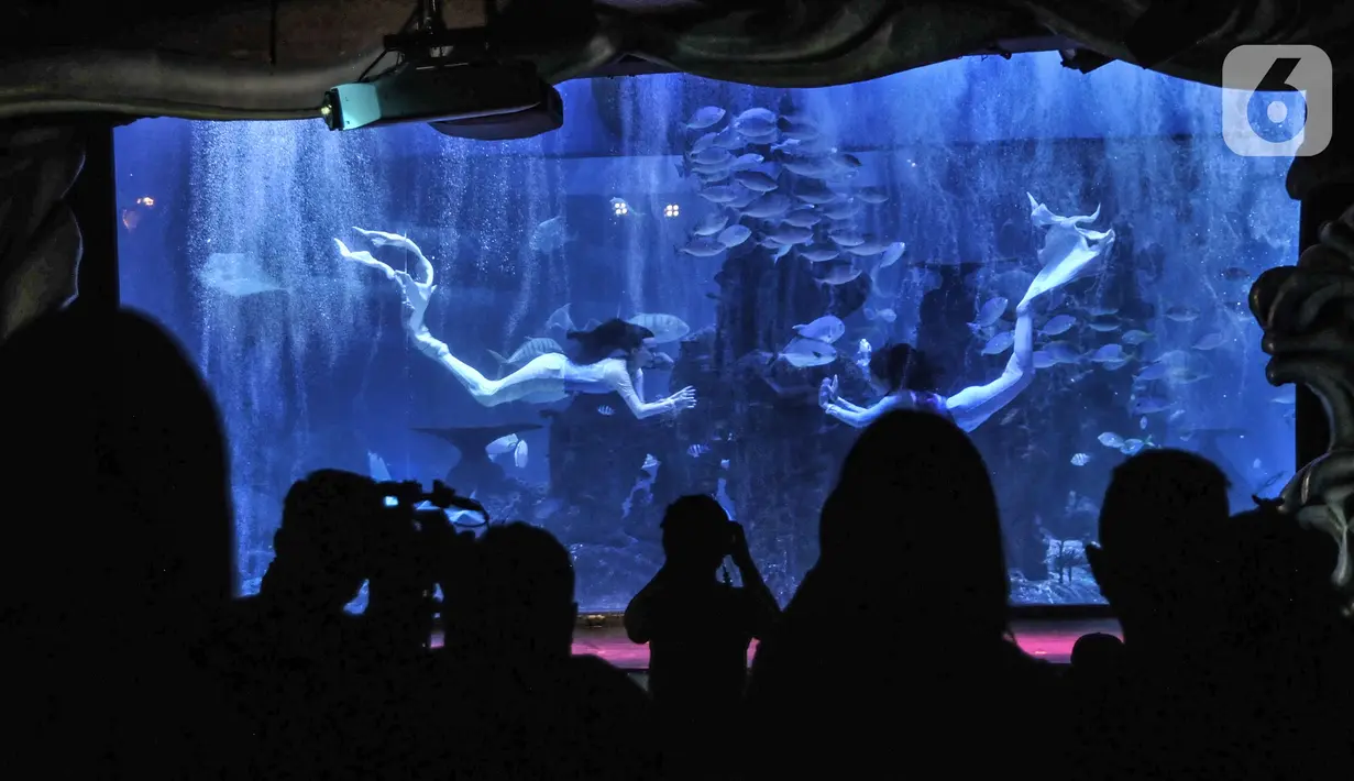 Atraksi putri duyung saat pertunjukkan bawah air di Jakarta Aquarium dan Safari (JAQS), Neo Soho Mall, Jakarta, Rabu  (21/4/2021). JAQS menghadirkan pertunjukkan putri duyung dalam rangka memperingati Hari Kartini. (merdeka.com/Iqbal S Nugroho)