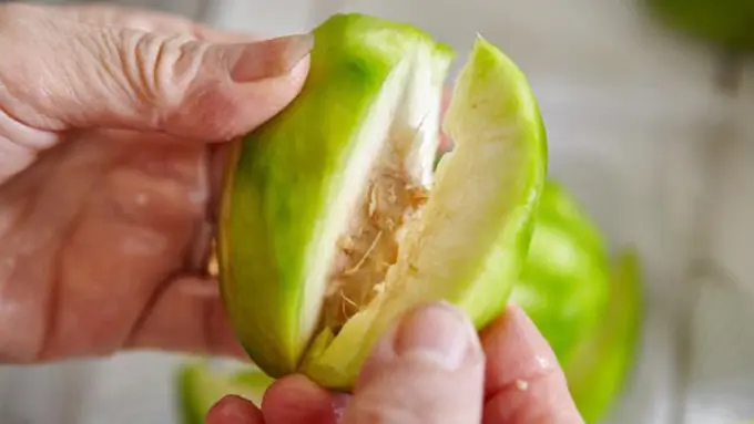 Foto: copyright Thinkstockphotos.com