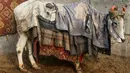 Seekor sapi ditutupi dengan karung goni dan selimut di kawasan lama New Delhi, India pada 21 Januari 2020. Hal tersebut untuk melindungi sapi agar tetap hangat selama bulan-bulan musim dingin. (Photo by Sajjad HUSSAIN / AFP)