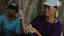 Pekerja memilih cicak di rumah industri kawasan Cirebon, Jawa Barat, Selasa (2/4). Cicak kering ini dijual dengan harga Rp 250 ribu per kilogram. (Liputan6.com/Herman Zakharia)
