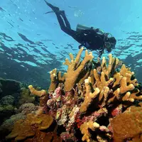 Taka Bonerate jadi bukti kalau taman laut cantik di Sulawesi tak hanya Wakatobi.