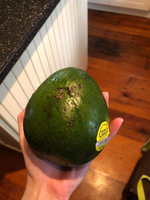 6 Penampakan Buah Ukuran Raksasa Ini Bikin Mata Melongo