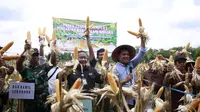 Kementerian Pertanian melakukan Panen Jagung Demplot Perlakukan Bahan Alami Biosaka di lahan Poktan Umbu Jaya, Desa Karanganom, Kecamatan Sukodono, Kabupaten Sragen.