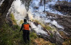 Pemadaman Terus Dilakukan Setelah Karhutla Melanda Gunung Bromo