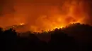 Kebakaran hutan yang terjadi di dekat desa Psachna di pulau Evia, timur laut Athena, Yunani (13/8/2019). Ratusan penduduk desa diungsikan pada 13 Agustus akibat kebakaran hutan yang terjadi. (AFP Photo/Angelos Tzortzinis)