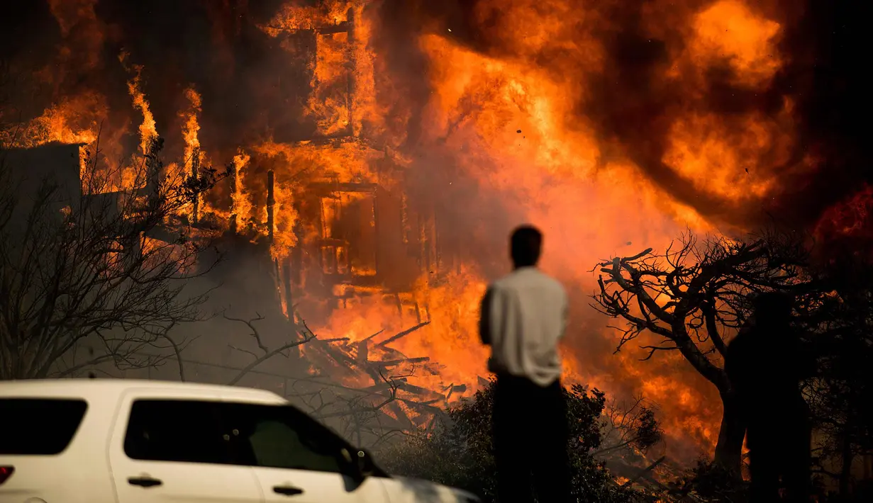 Seorang pria melihat kobaran api yang melahap sebuah rumah akibat kebakaran hutan di Ventura, California, AS (5/12). Dipicu oleh angin kencang Santa Ana, api merambat dengan cepat dan merusak sekitar 26.000 hektare. (AP Photo / Noah Berger)