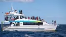 Para wisatawan naik kapal pesiar untuk melihat paus di Teluk Jervis, Sydney selatan, Australia, pada 23 September 2020. (Xinhua/Bai Xuefei)